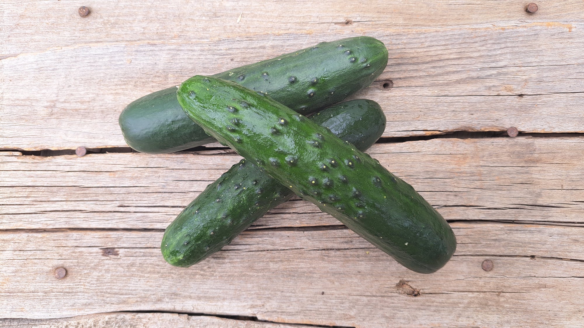Zach's Cucumbers: Slicing (/each)