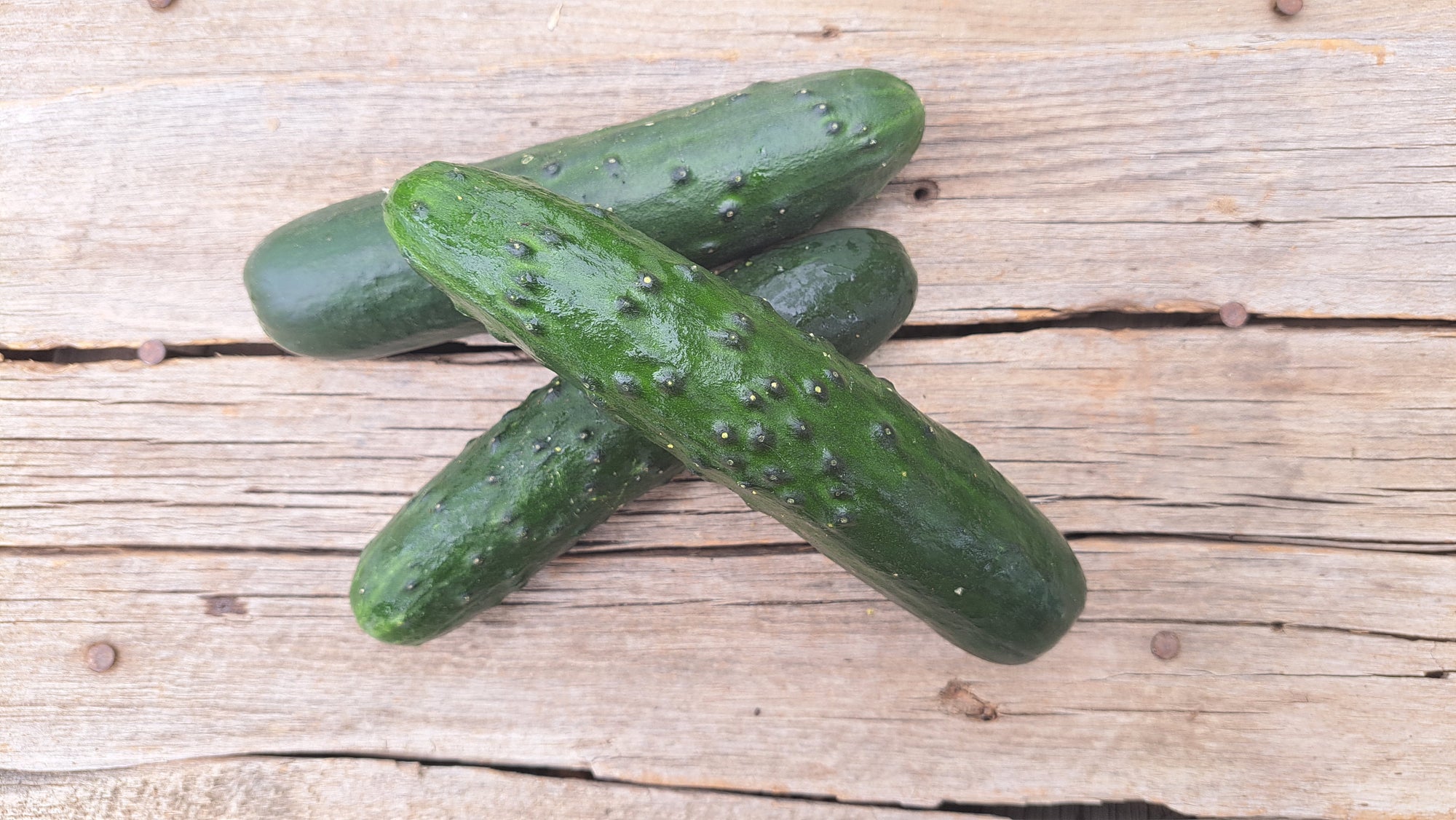 Zach's Cucumbers: Slicing (/each)