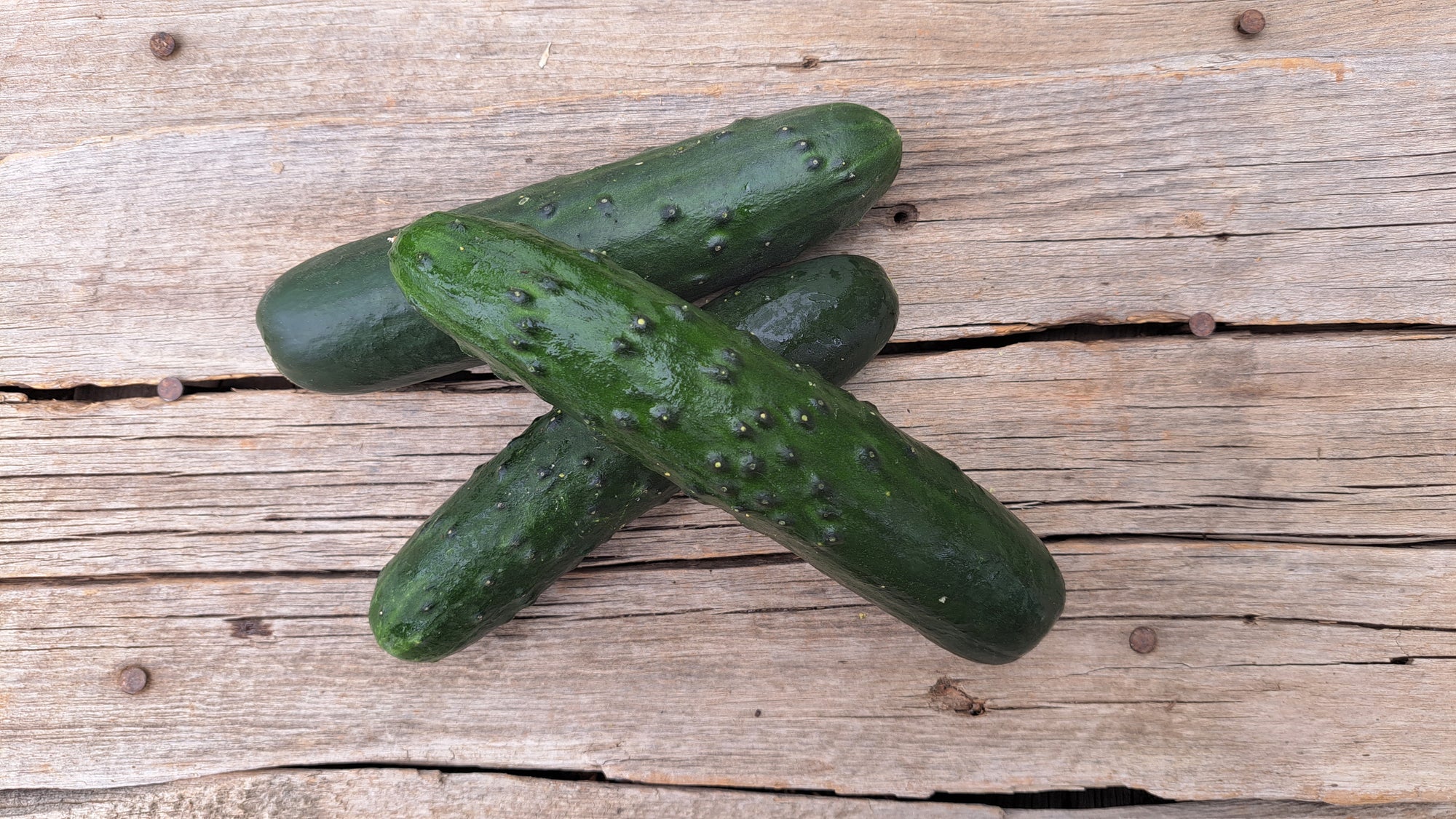 Zach's Cucumbers: Slicing (/each)