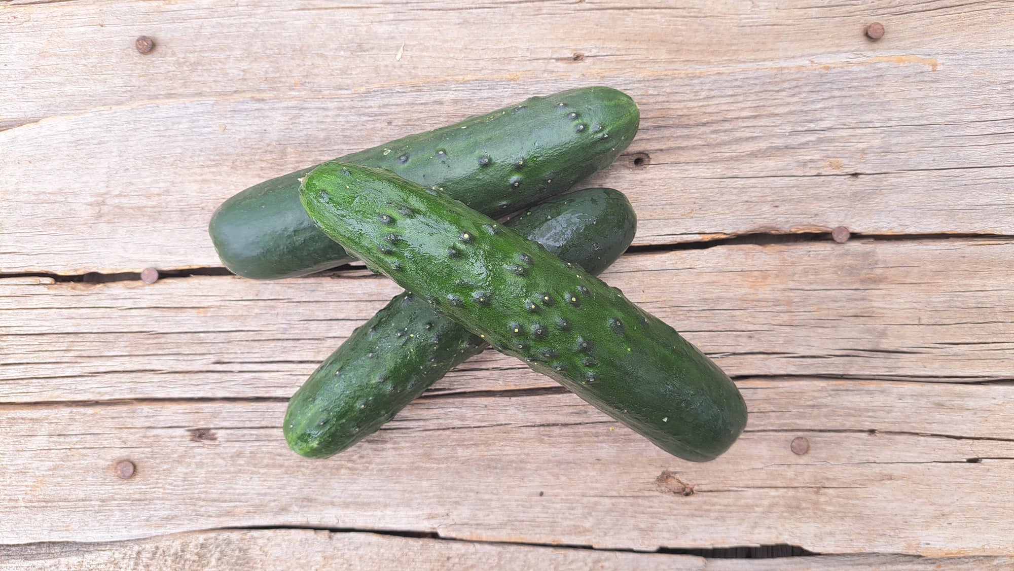 Zach's Cucumbers: Slicing (/each)