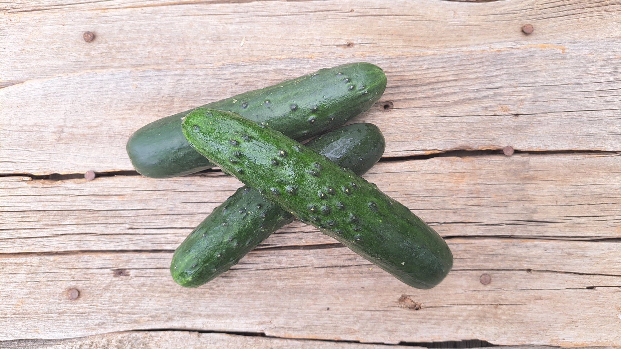 Zach's Cucumbers: Slicing (/each)