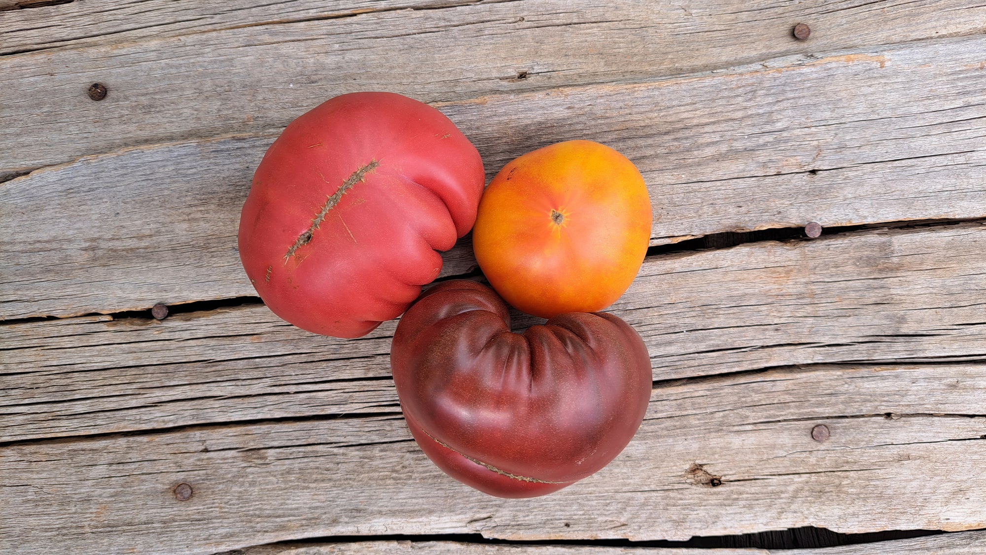 Zach's Heirloom Slicer Tomatoes (/lb)