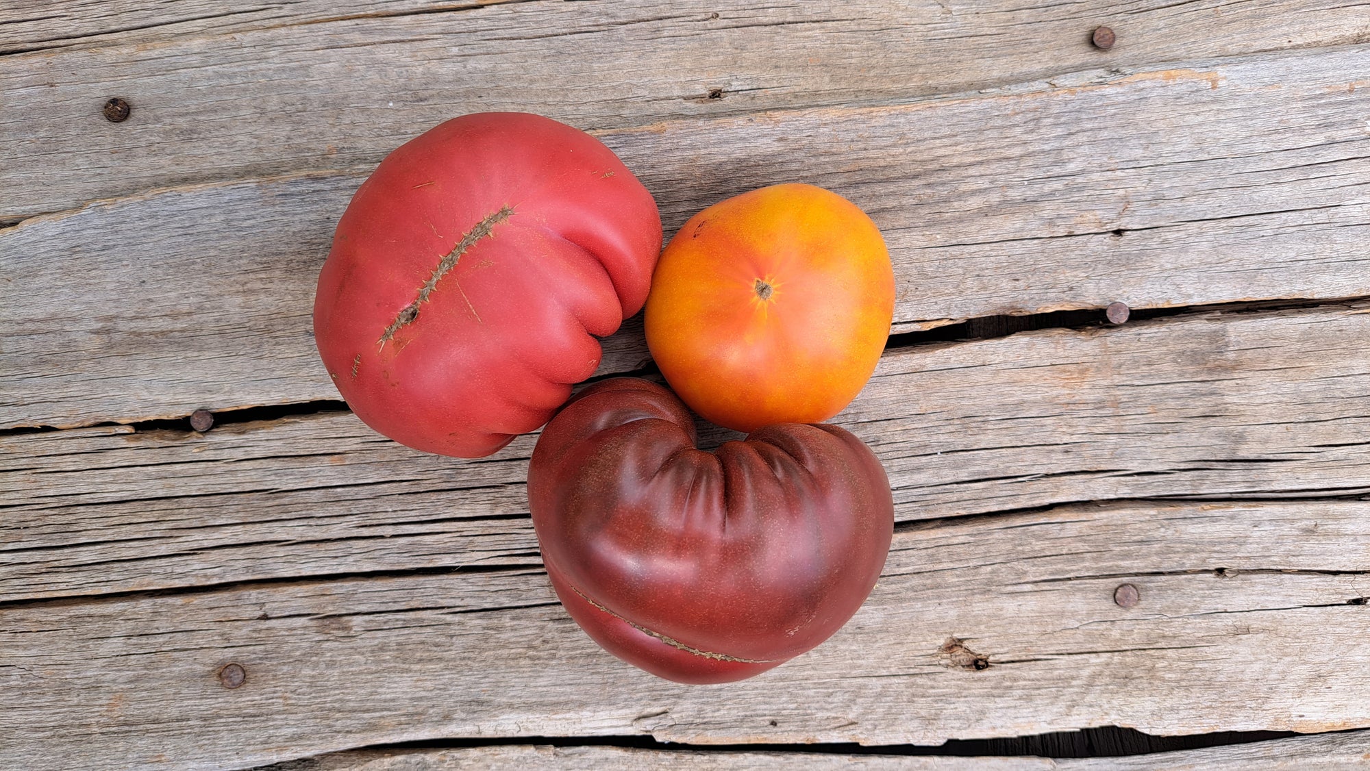 Zach's Heirloom Slicer Tomatoes (/lb)