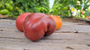 Zach's Heirloom Tomatoes (FROZEN/lb)