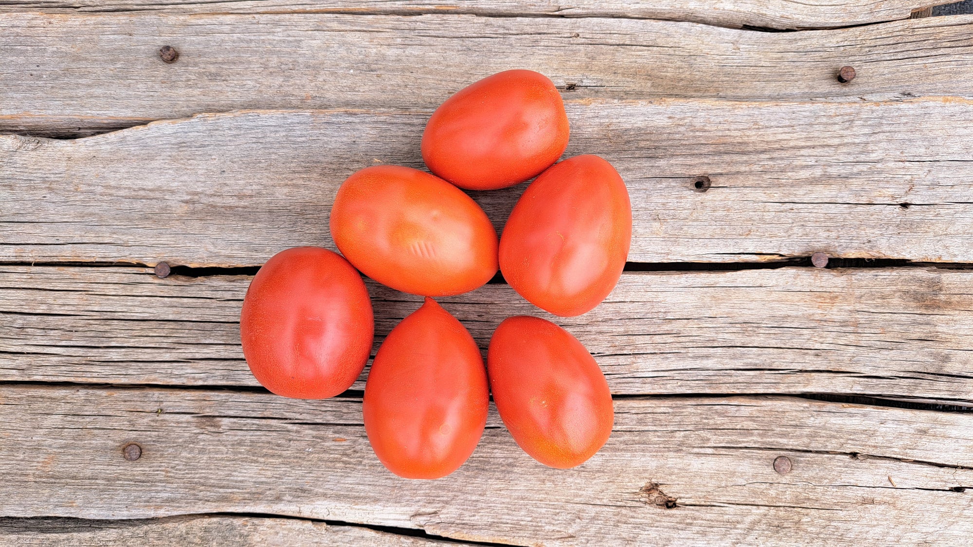 Zach's Paste Tomatoes (/lb)