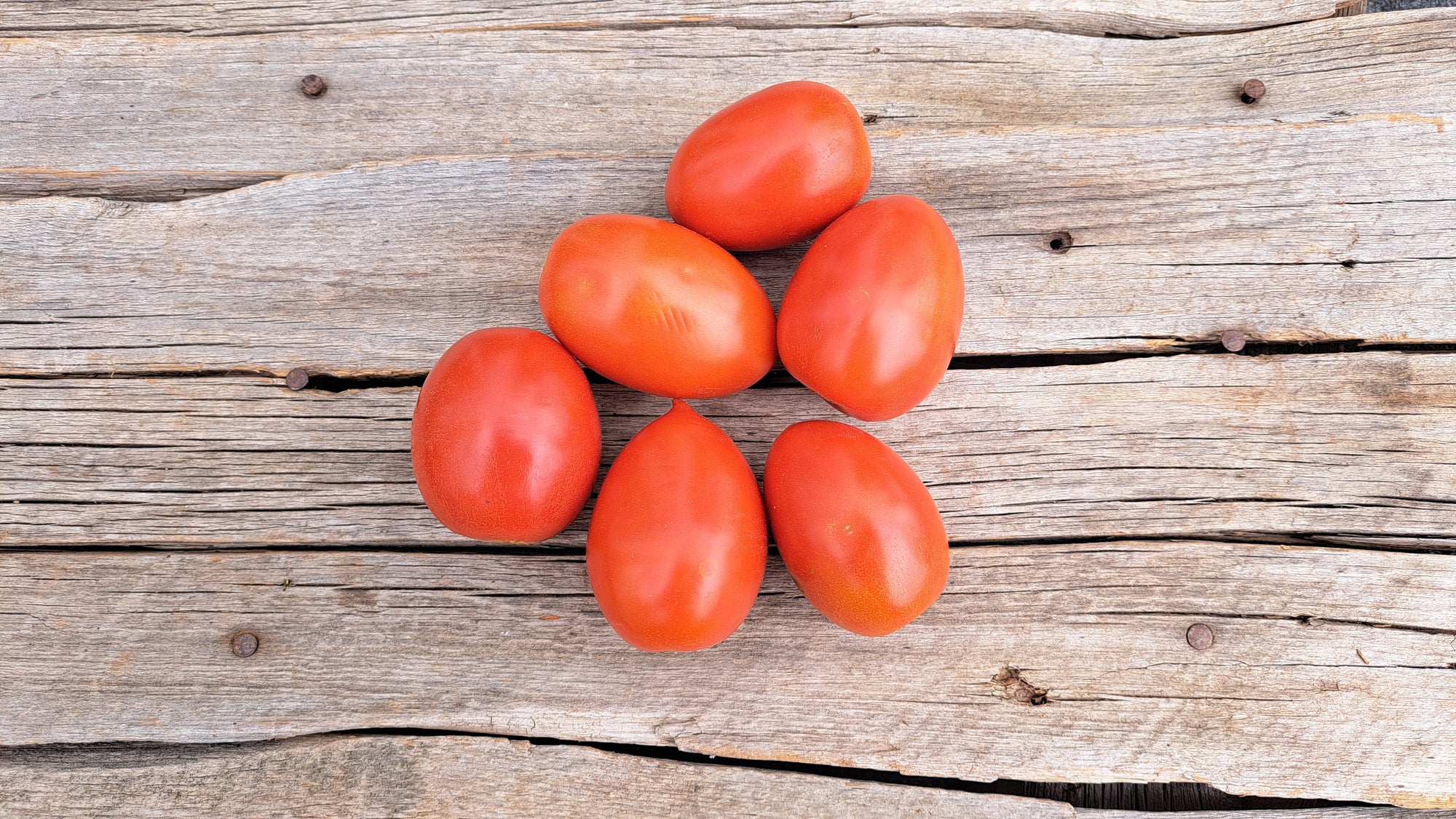 Zach's Paste Tomatoes (/lb)