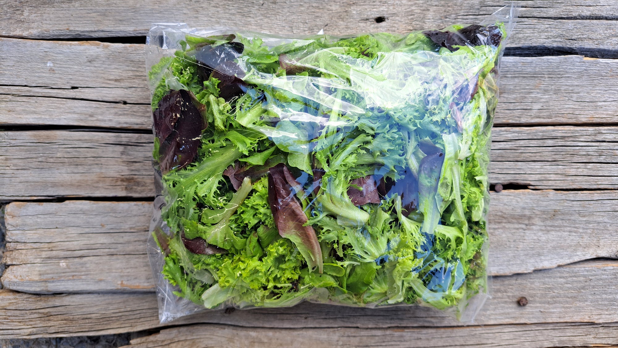 Zach's Salad Mix (/8oz or 16oz)