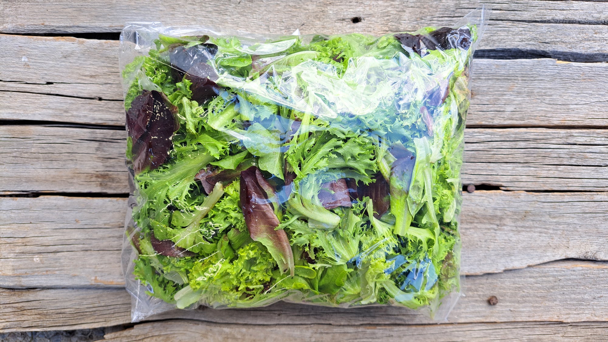 Zach's Salad Mix (/8oz or 16oz)
