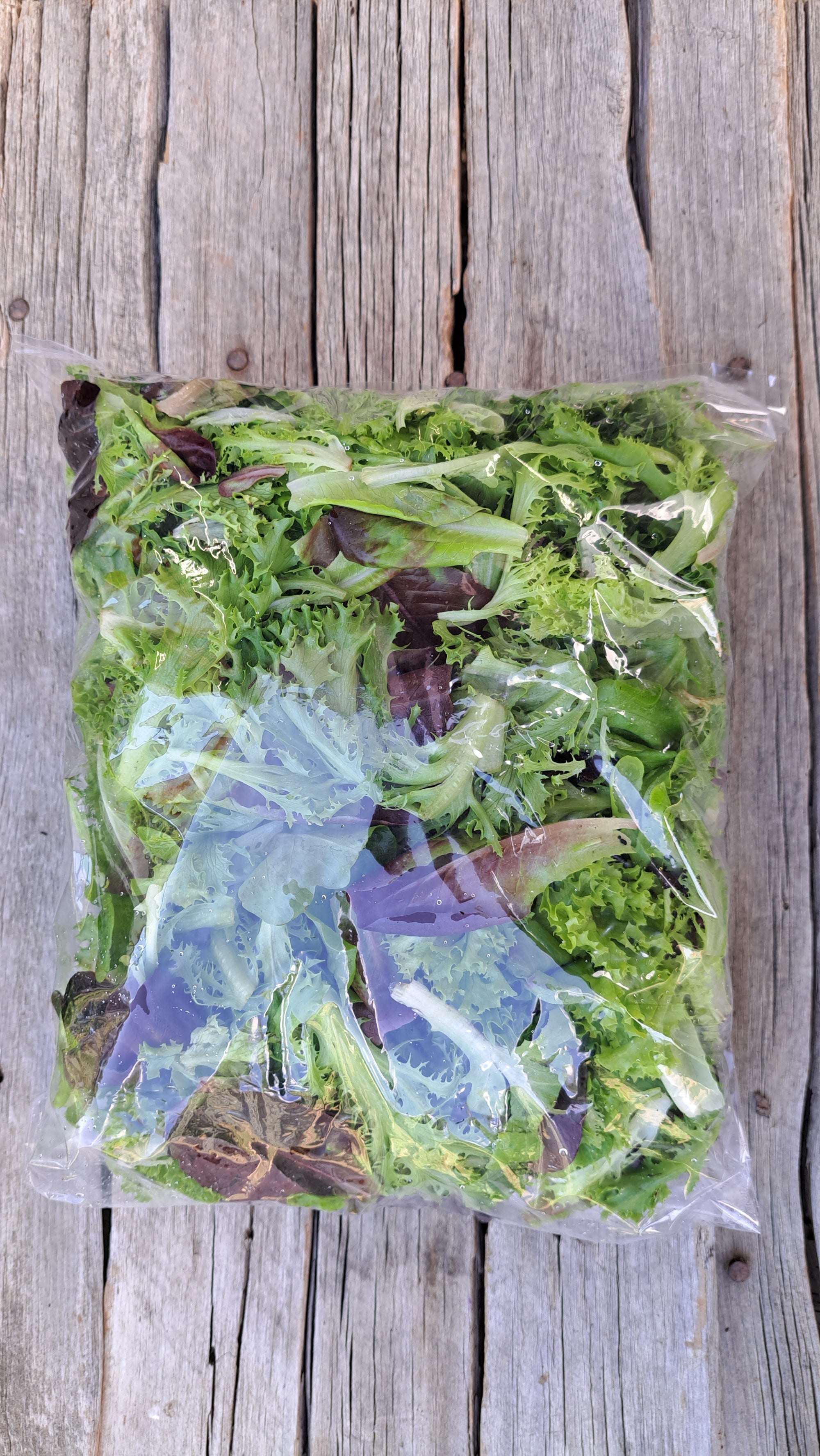 Zach's Salad Mix (/8oz or 16oz)