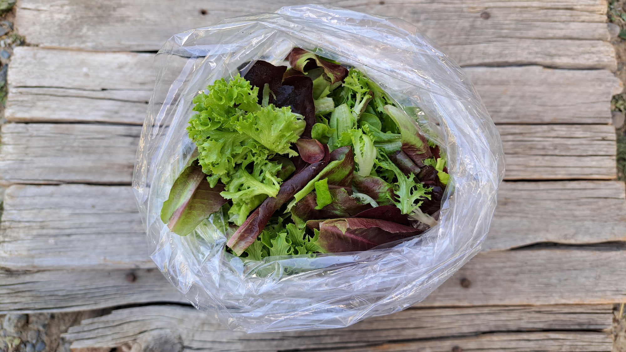 Zach's Salad Mix (/8oz or 16oz)