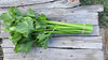 Zach's Celery (/head)