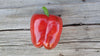 Zach's Bell Peppers (/each)