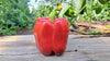 Zach's Bell Peppers (/each)
