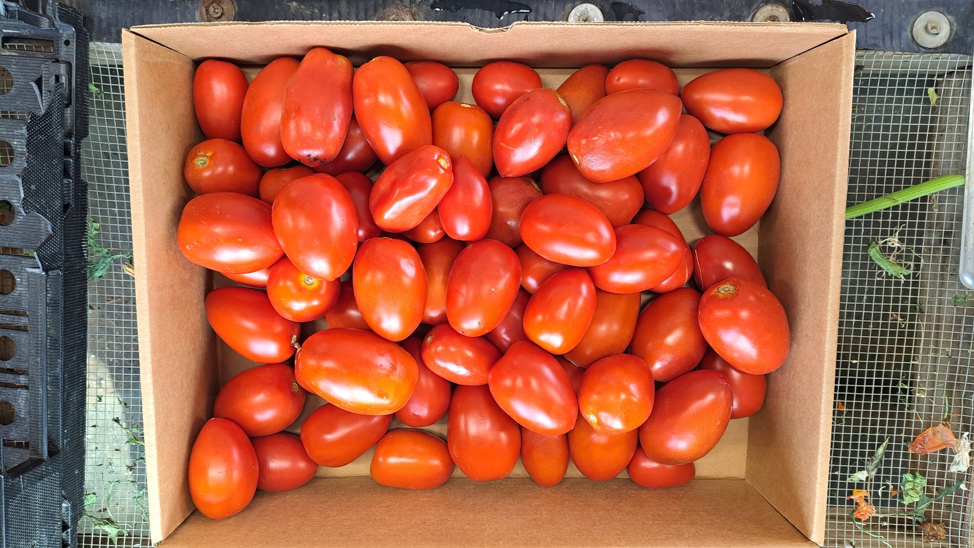 Zach's Paste Tomatoes (/lb)