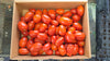Zach's Paste Tomatoes (/lb)