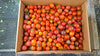 Zach's Cherry Tomatoes (/pint)
