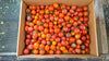 Zach's Cherry Tomatoes (FROZEN/lb)