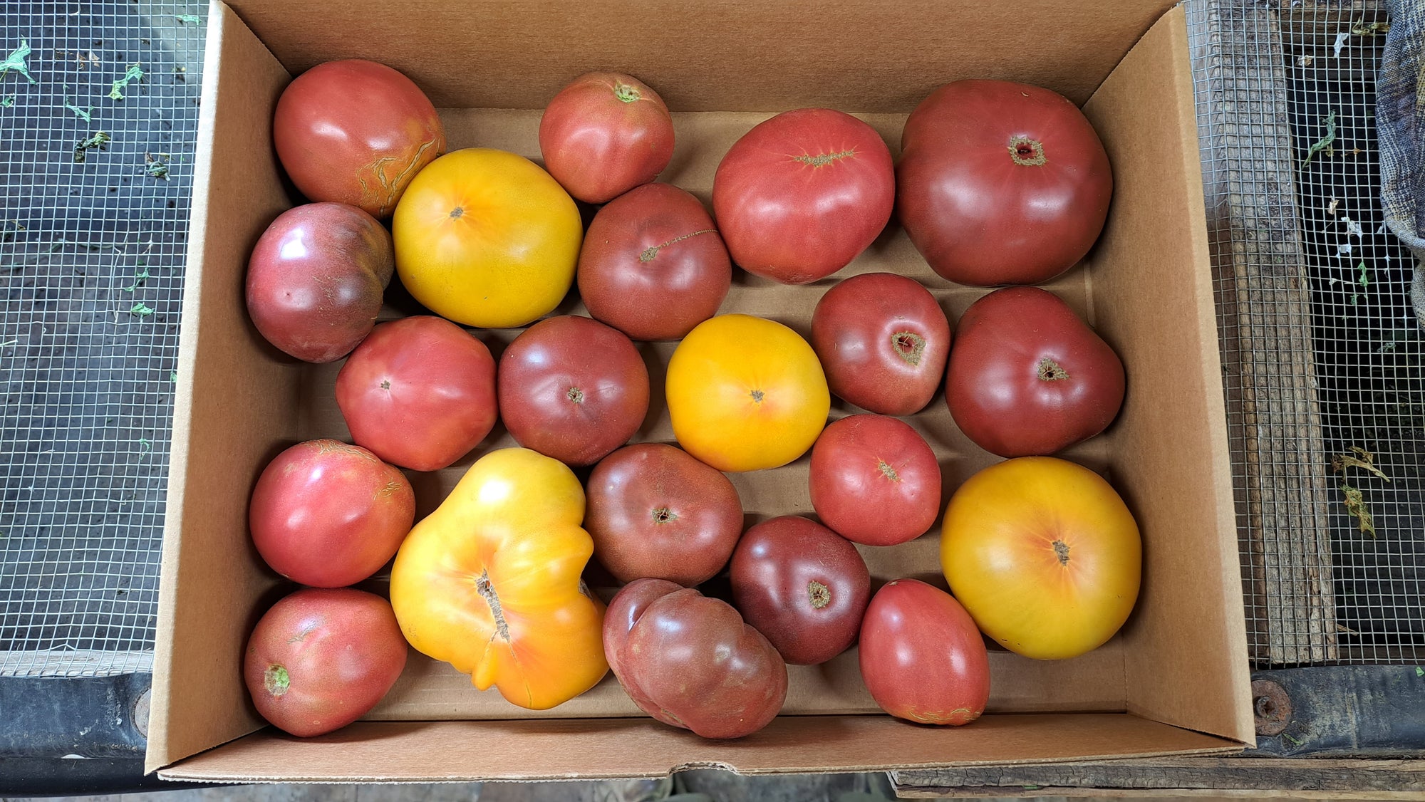 Zach's Heirloom Slicer Tomatoes (/lb)