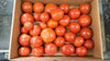 Zach's Slicer Tomatoes (/lb)