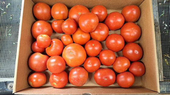 Zach's FROZEN Slicer Tomatoes (10LB CASE)