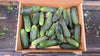 Zach's Cucumbers: Pickling (/lb)