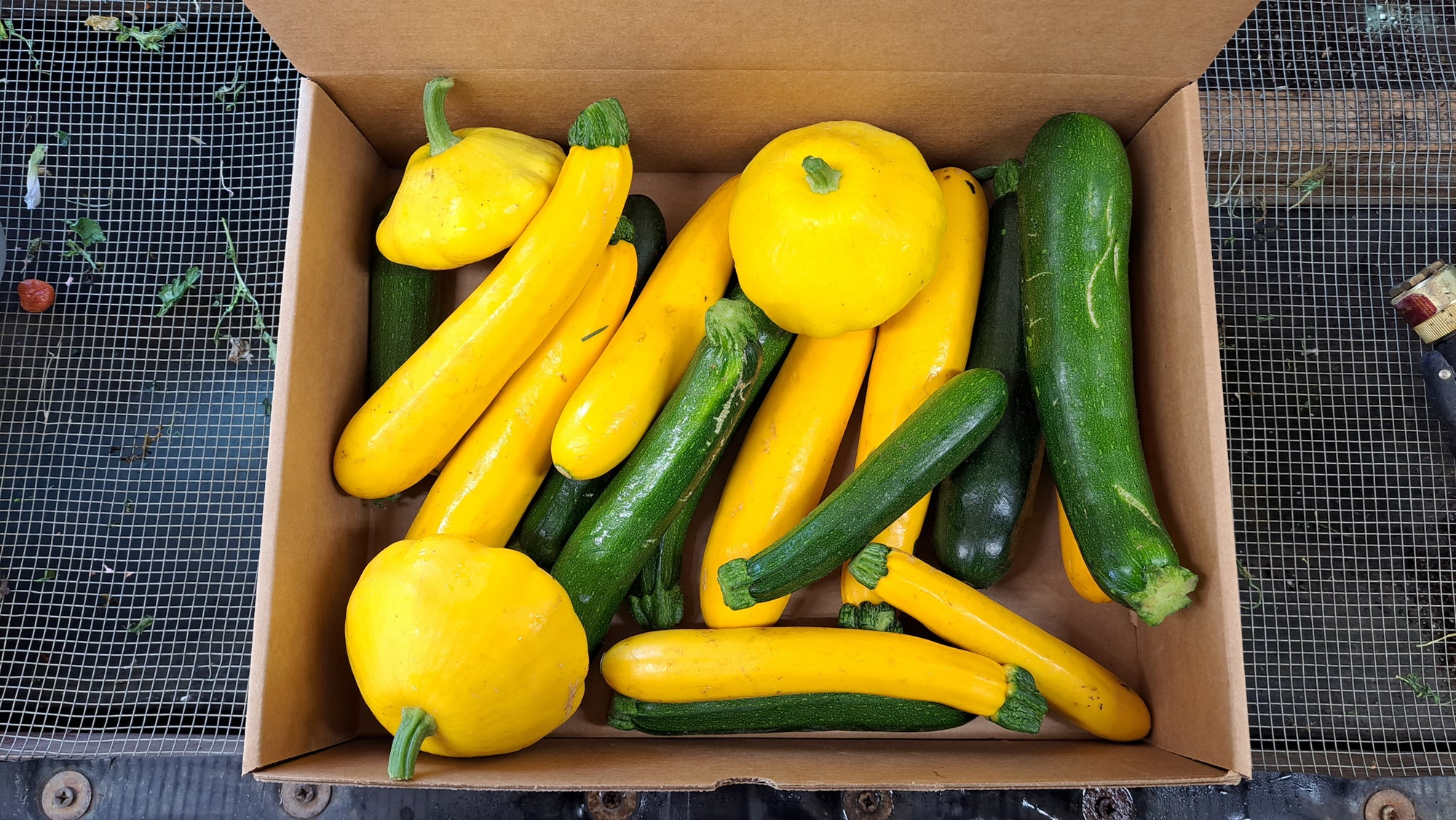 Zach's Summer Squash Mix (/lb)