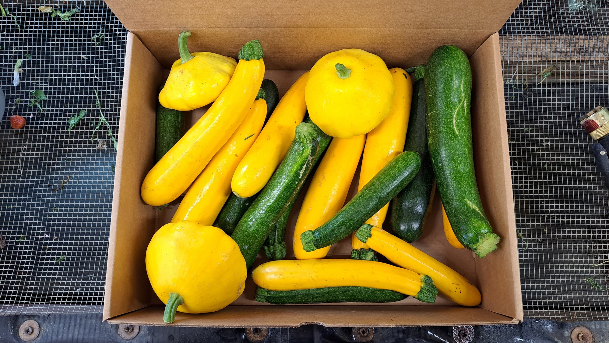 Zach's Summer Squash Mix (/lb)