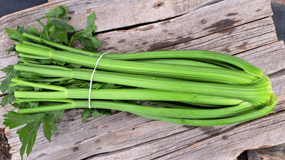 Zach's Celery (/head)