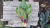 Zach's Swiss Chard (/bunch)