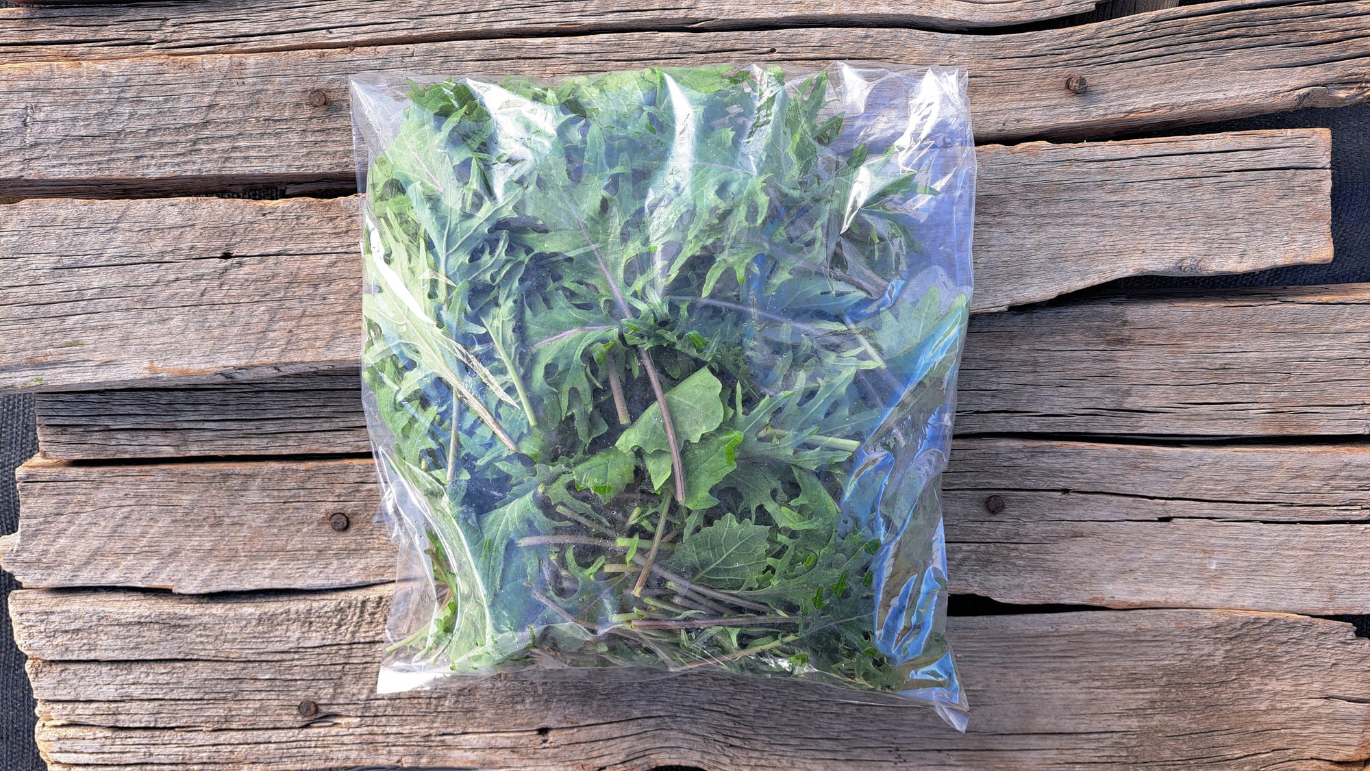 Zach's Baby Kale (/8 ounce bag)