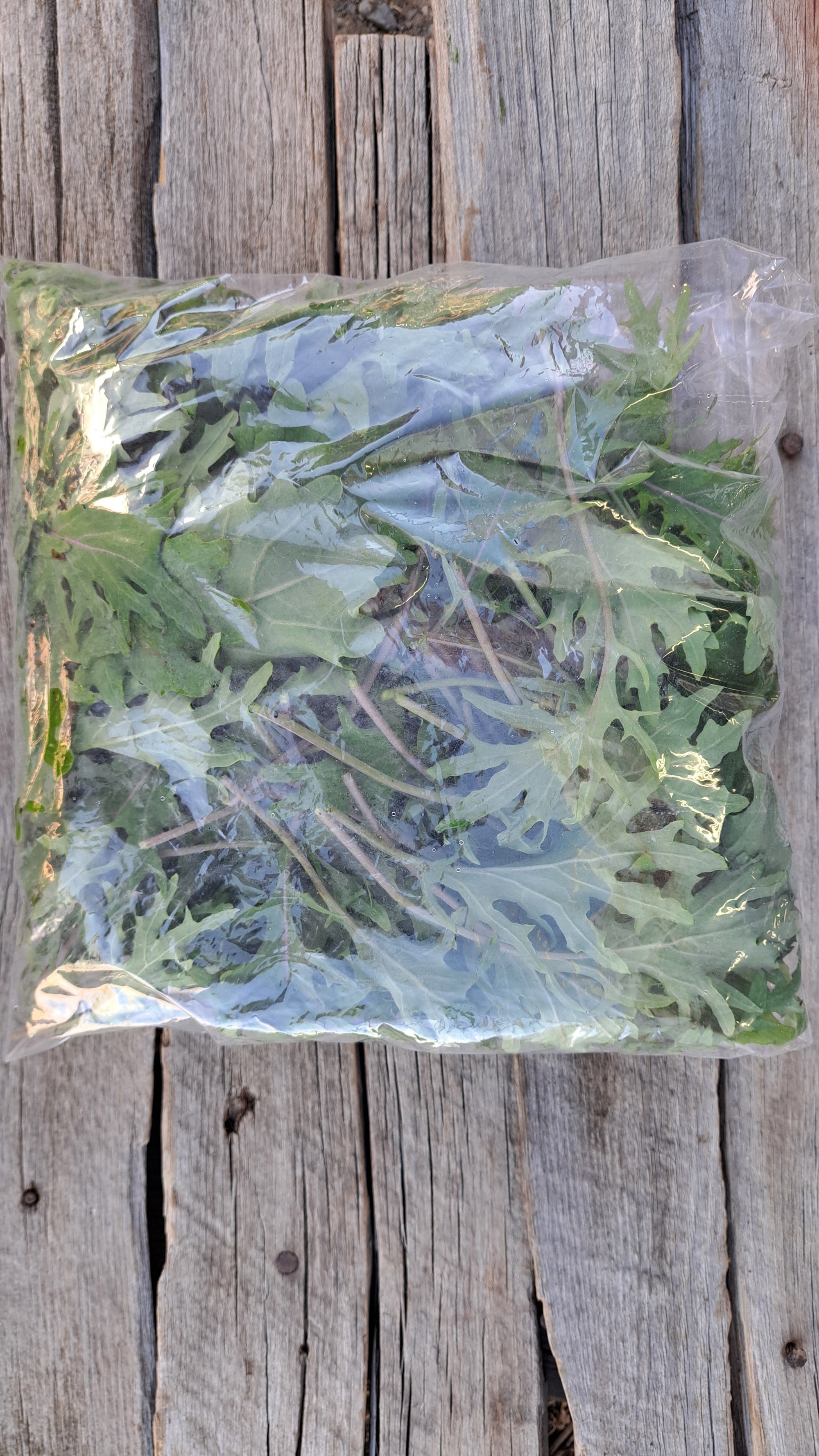 Zach's Baby Kale (/8 ounce bag)