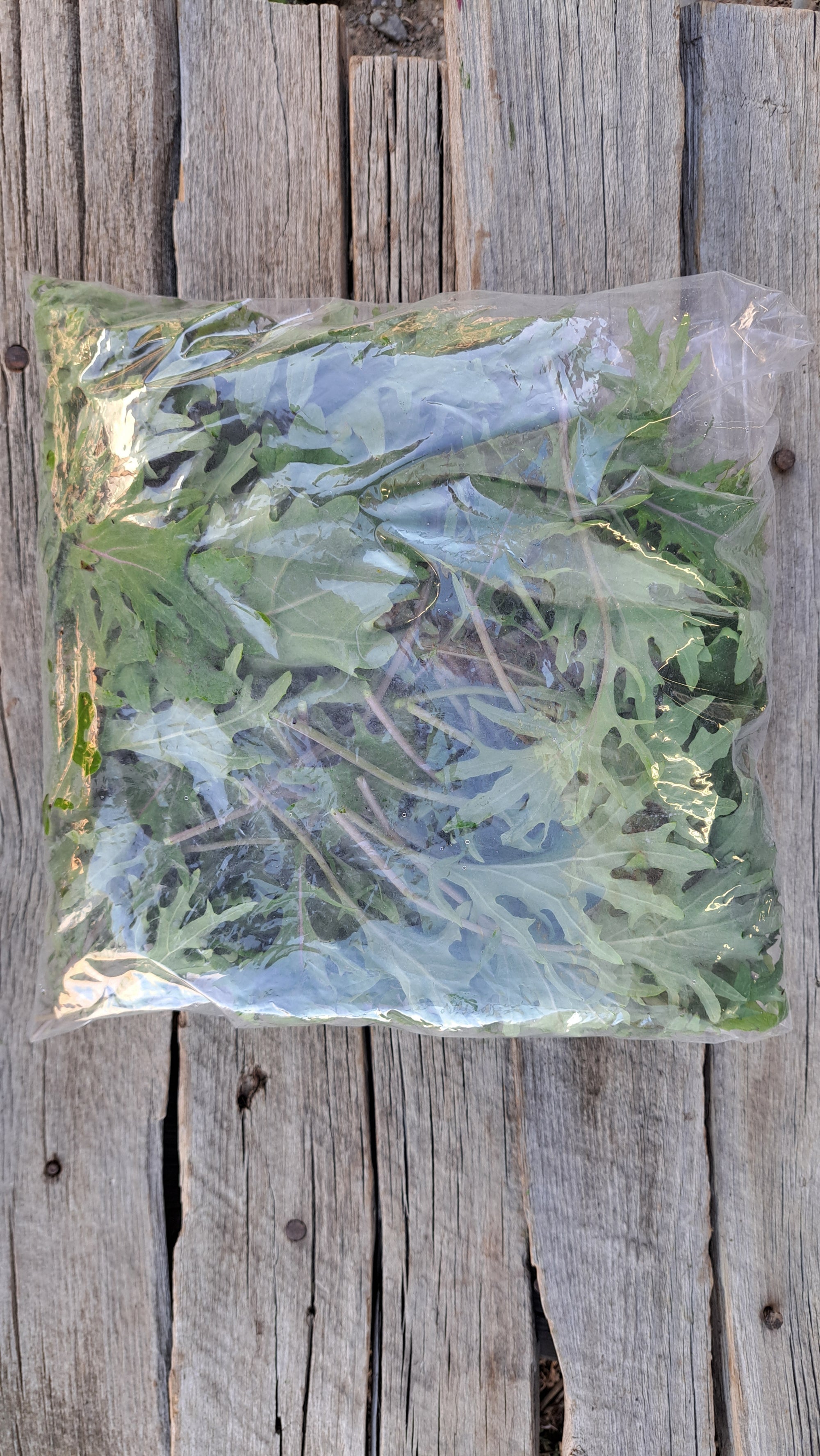Zach's Baby Kale (/8 ounce bag)