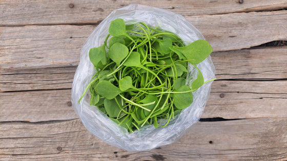 Zach's Miner's Lettuce (/8 ounce bag)