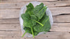 Zach's Spinach (/8oz or 16 oz bag)