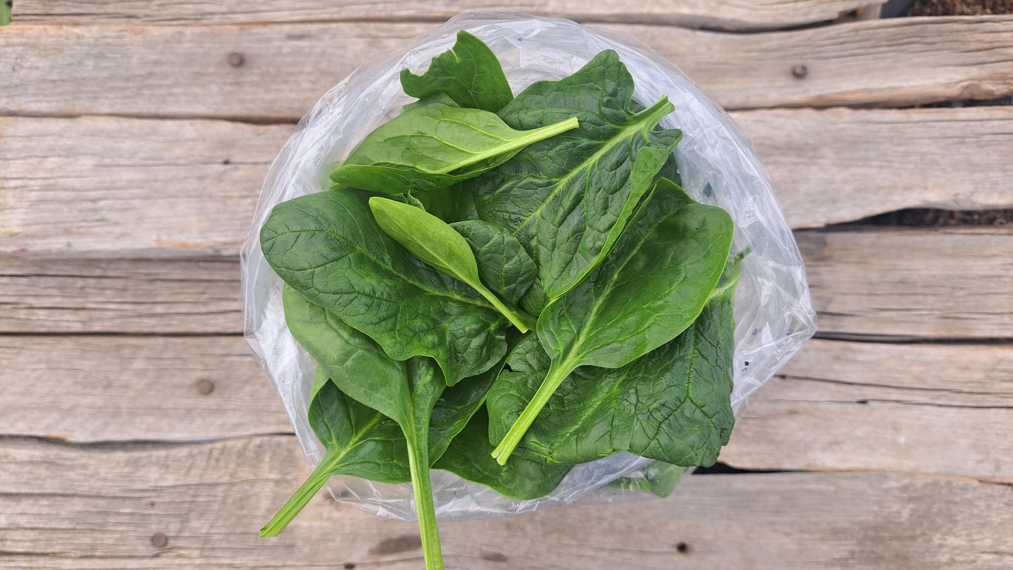 Zach's Spinach (/8oz or 16 oz bag)
