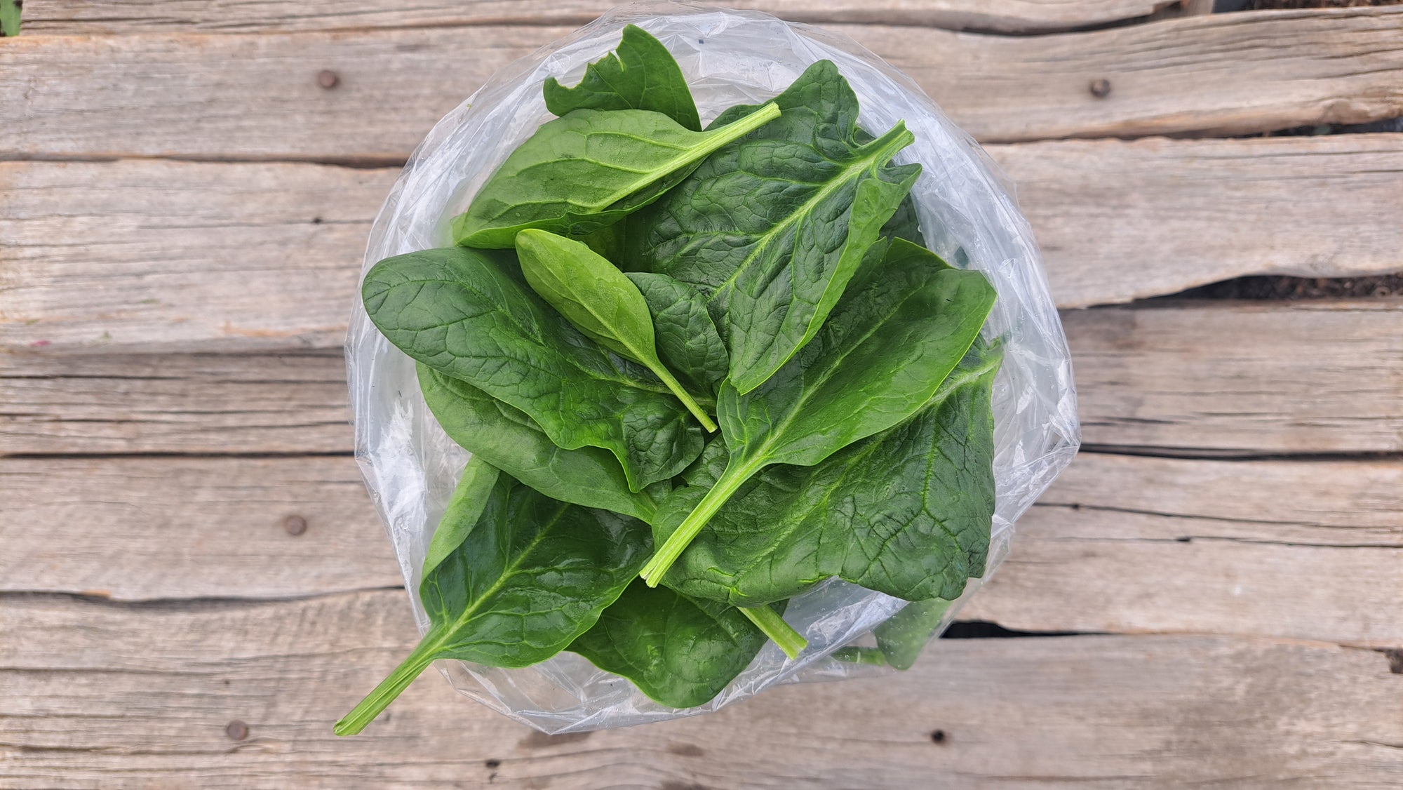 Zach's Spinach (/8oz or 16 oz bag)