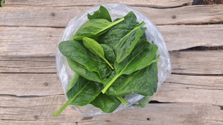 Zach's Spinach (/8oz or 16 oz bag)