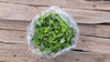 Zach's Micro Pea Shoots (/5oz)