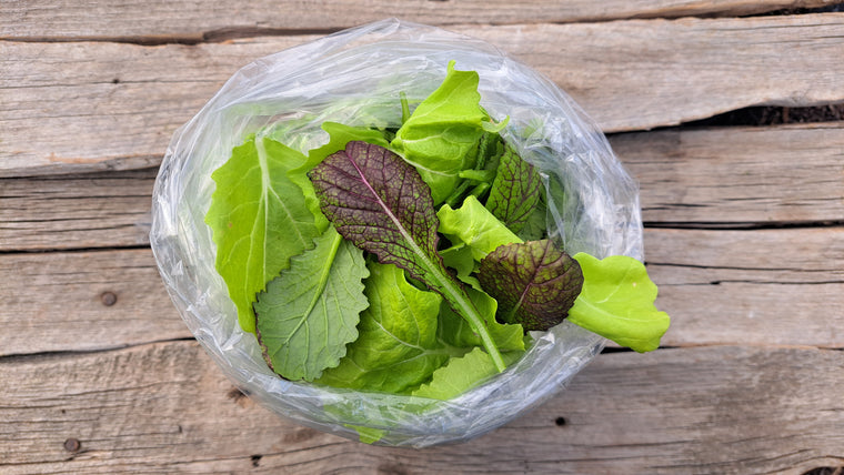 Zach's Salad Mix (/8oz or 16oz)