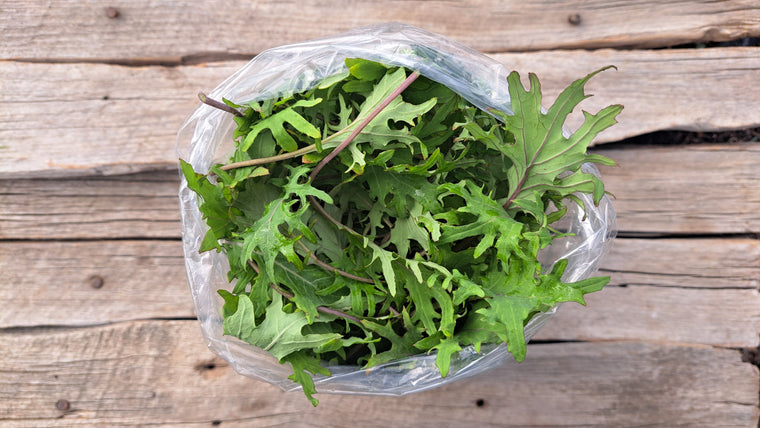 Zach's Baby Kale (/4 ounce bag)