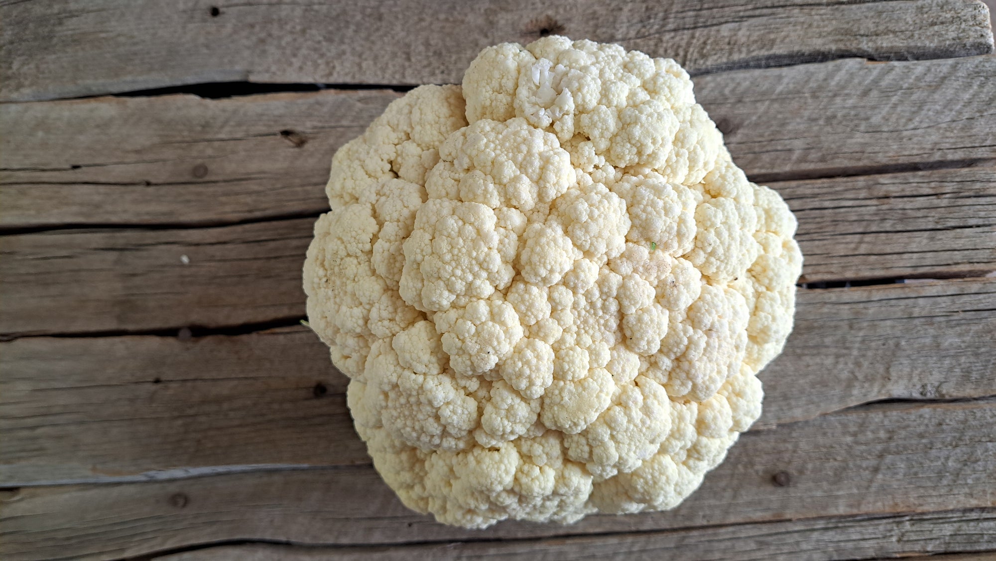 Zach's Cauliflower (/lb)