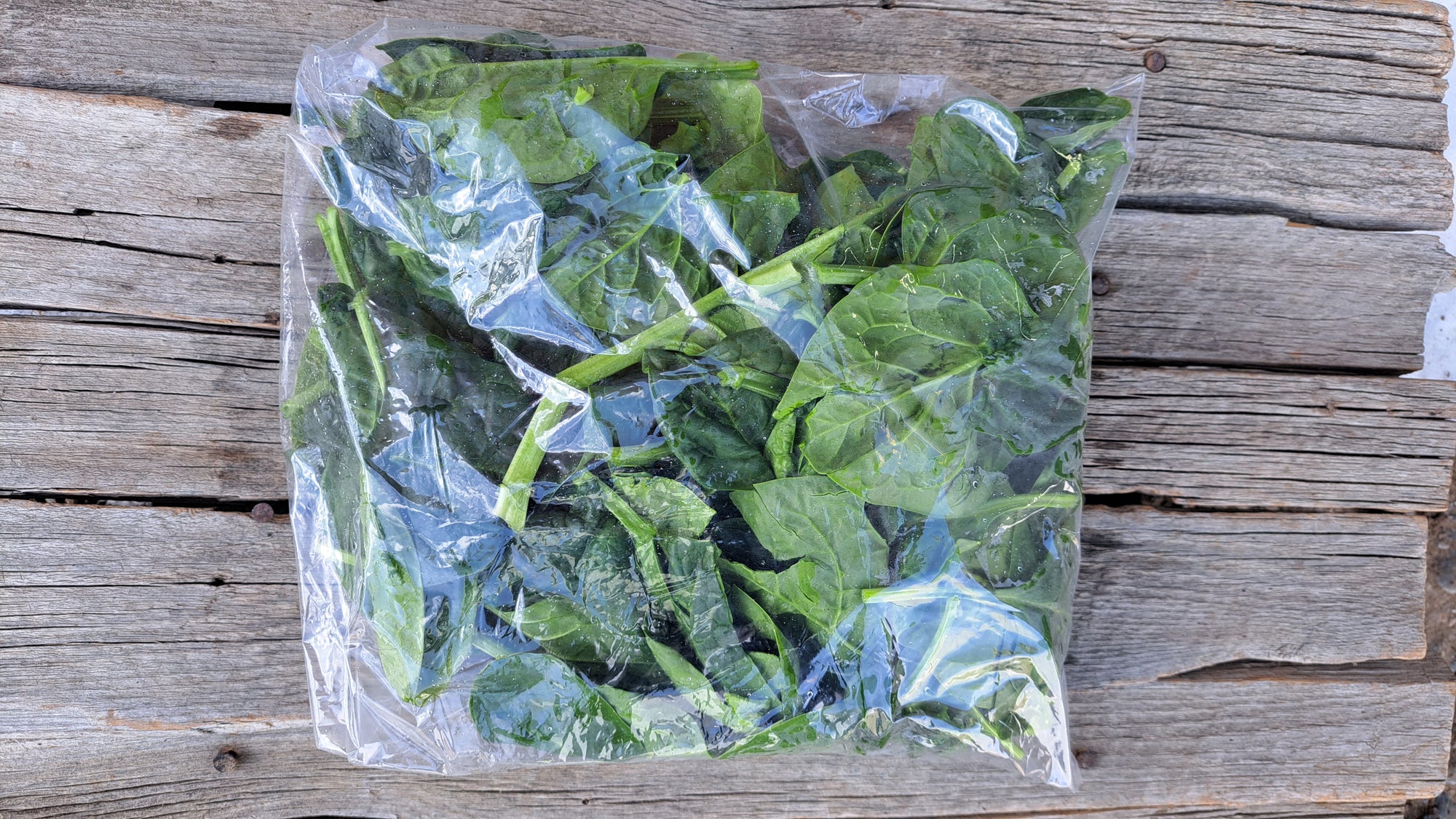 Zach's Spinach (/8oz or 16 oz bag)