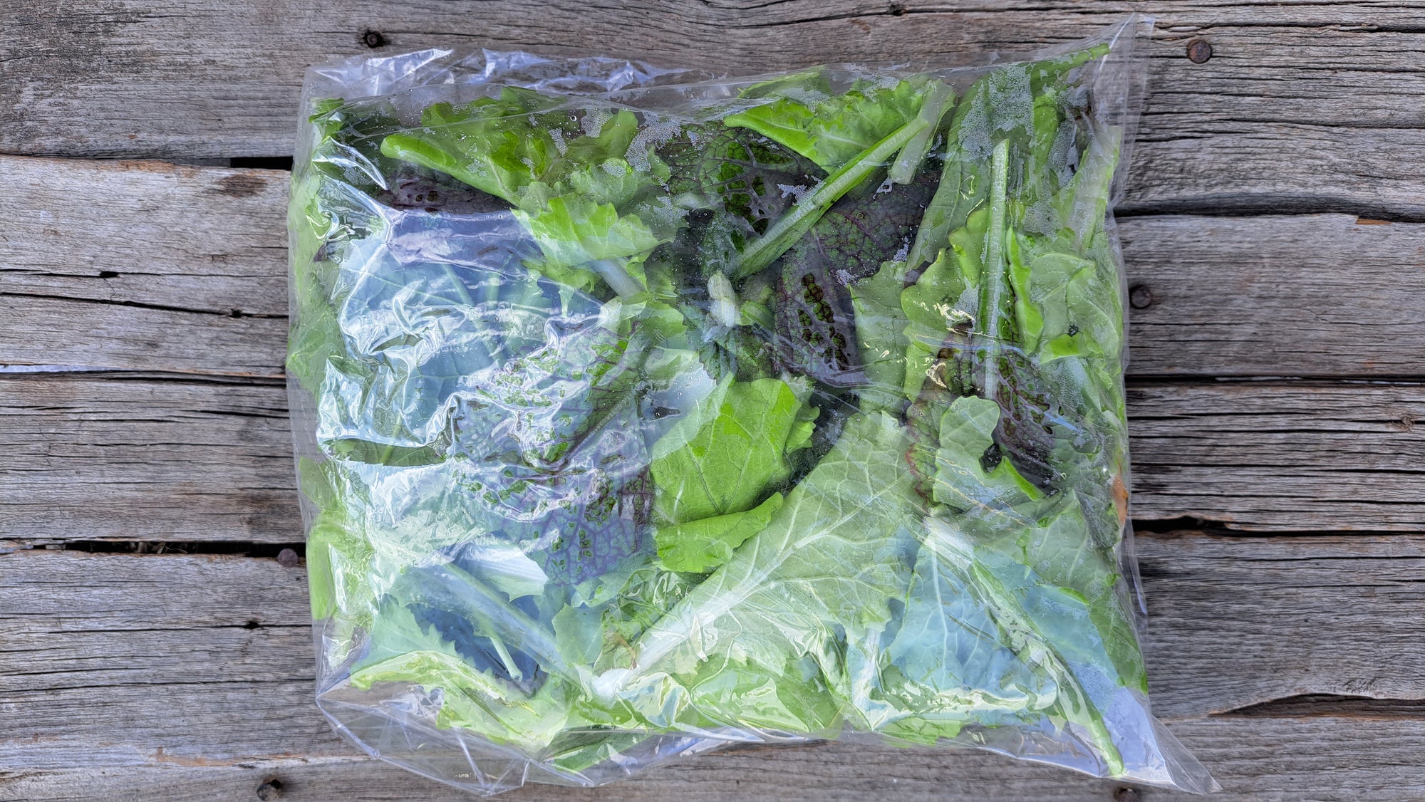 Zach's Salad Mix (/8oz or 16oz)