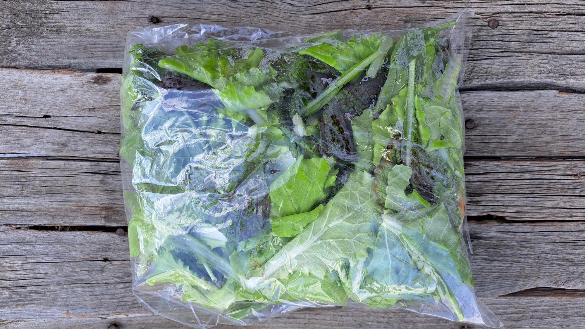 Zach's Salad Mix (/8oz or 16oz)