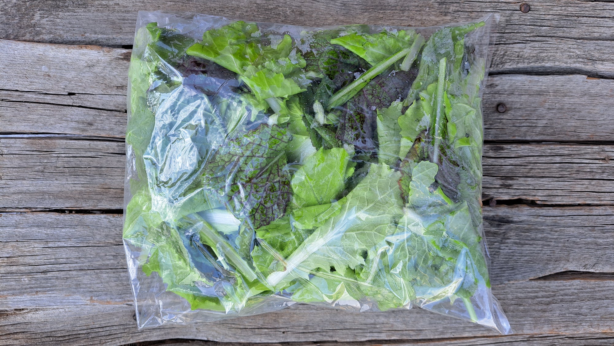 Zach's Salad Mix (/8oz or 16oz)