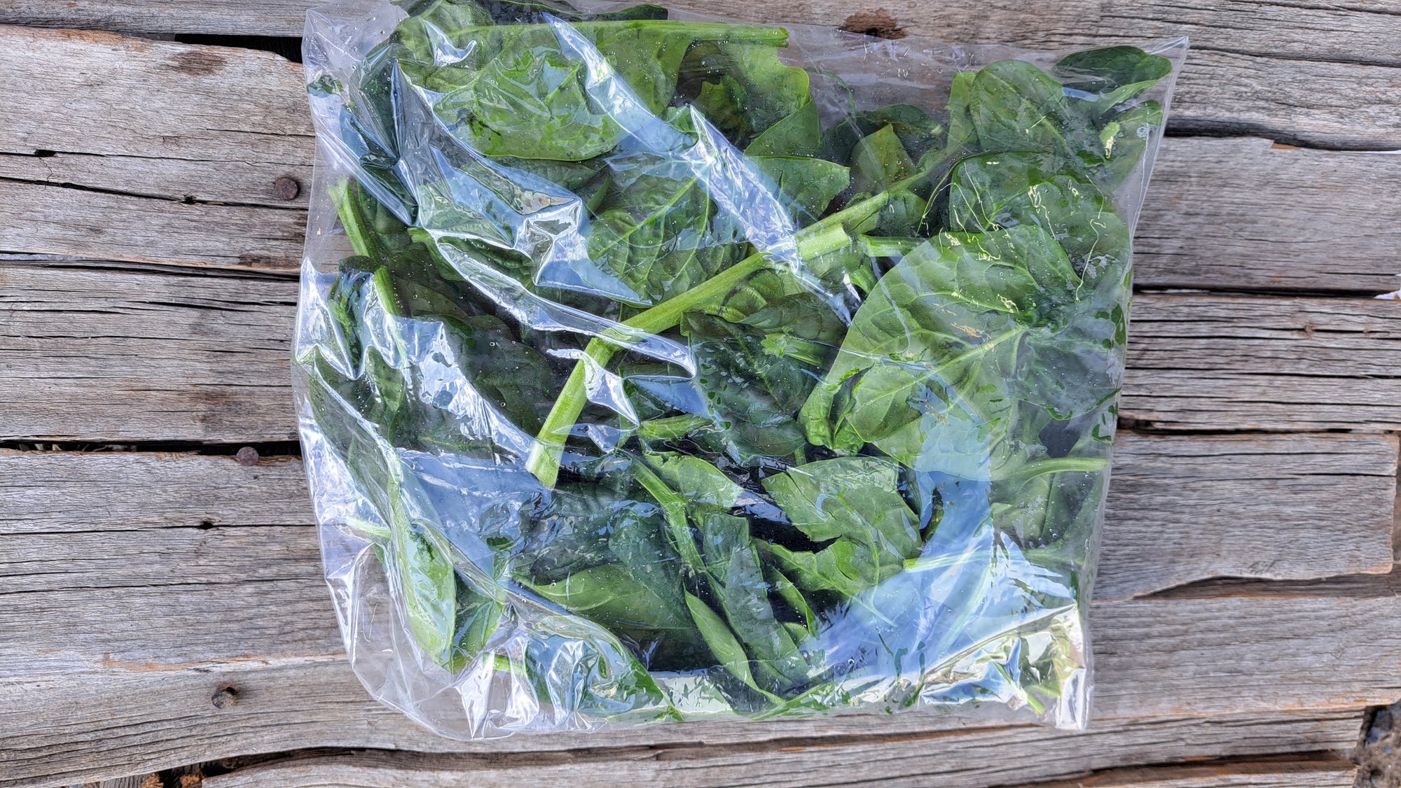 Zach's Spinach (/8oz or 16 oz bag)