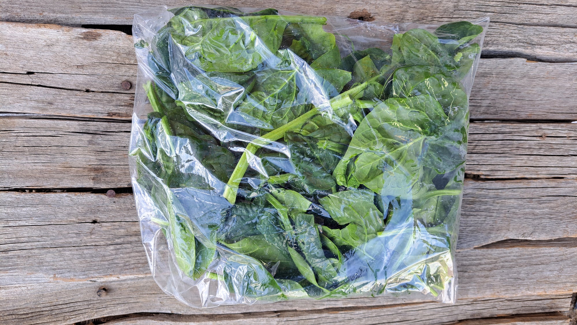 Zach's Spinach (/8oz or 16 oz bag)