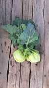 Zach's Kohlrabi (/bunch)