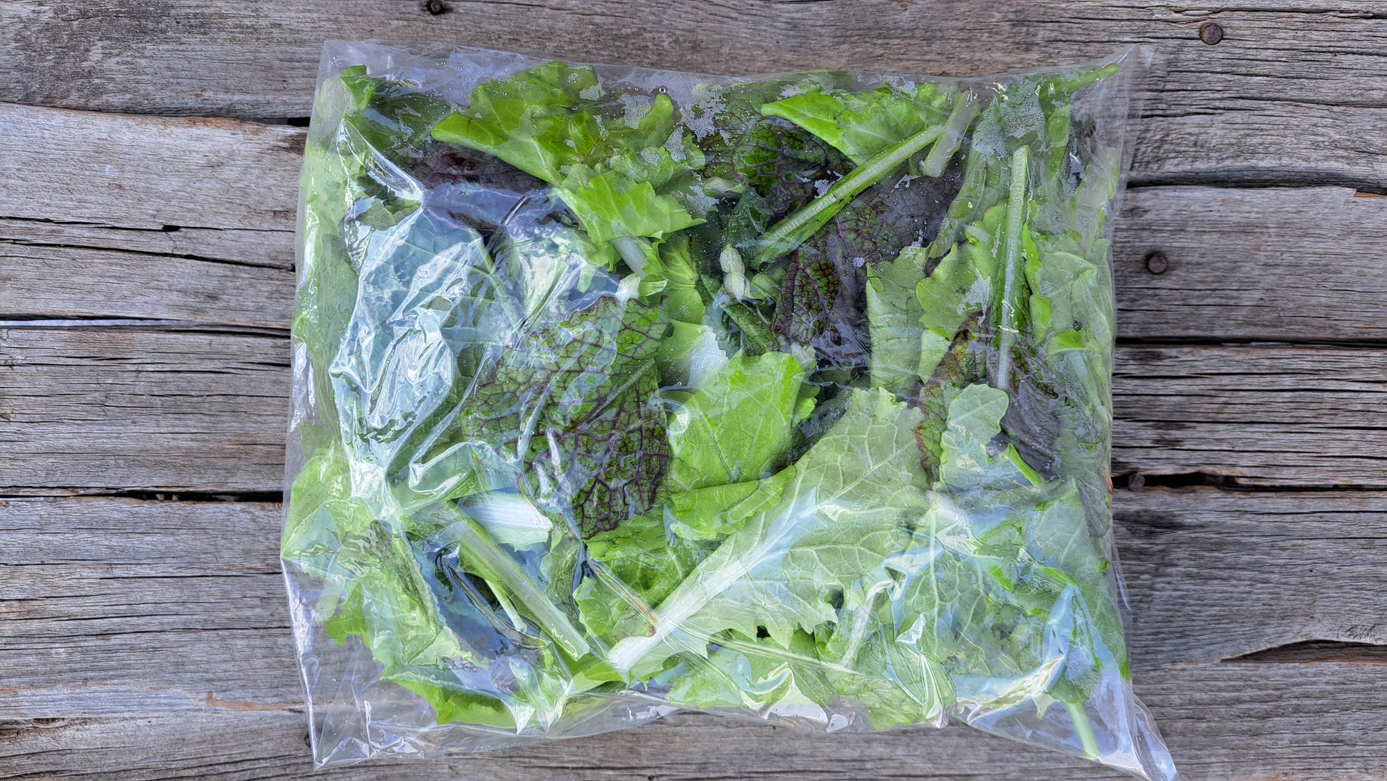 Zach's Salad Mix (/8oz or 16oz)