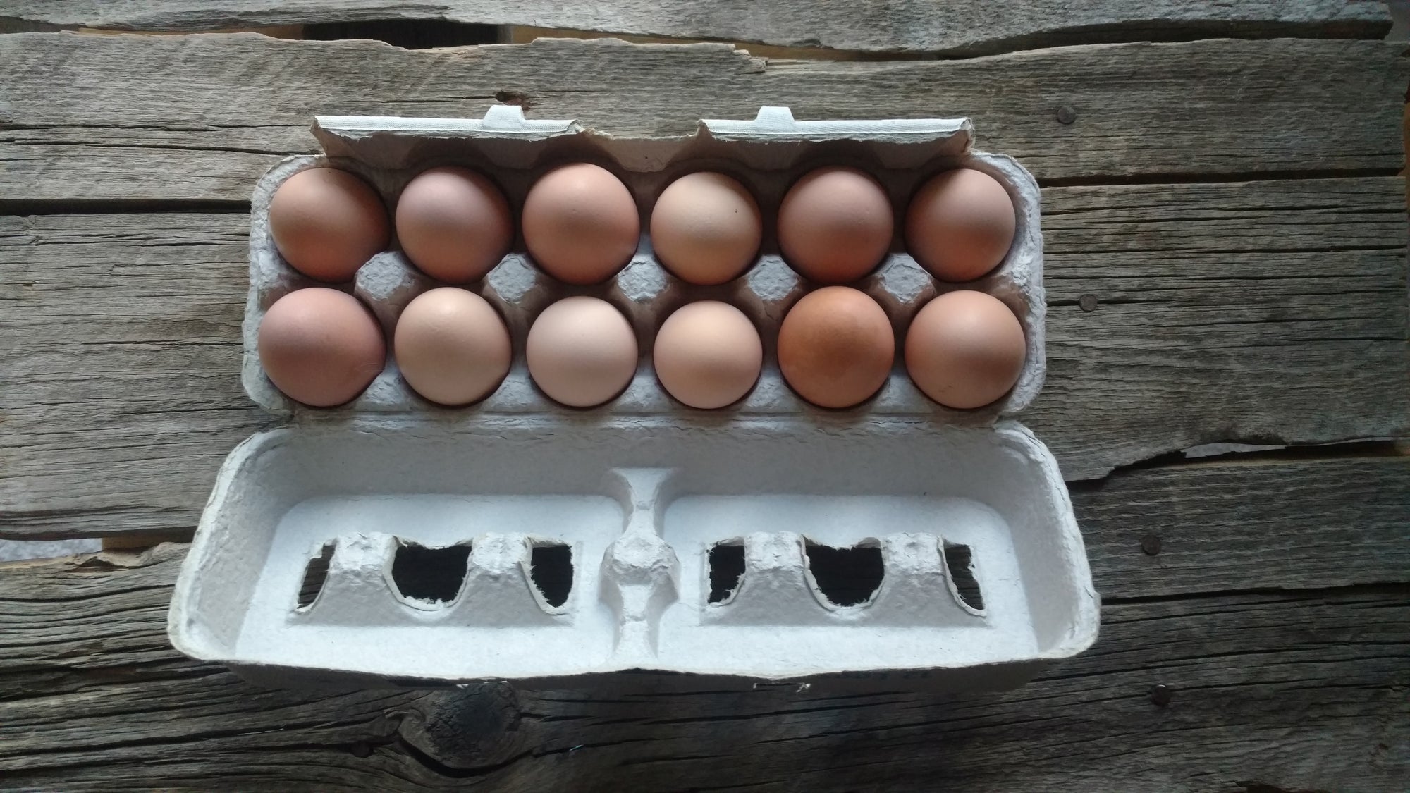 Local Eggs (/dozen)
